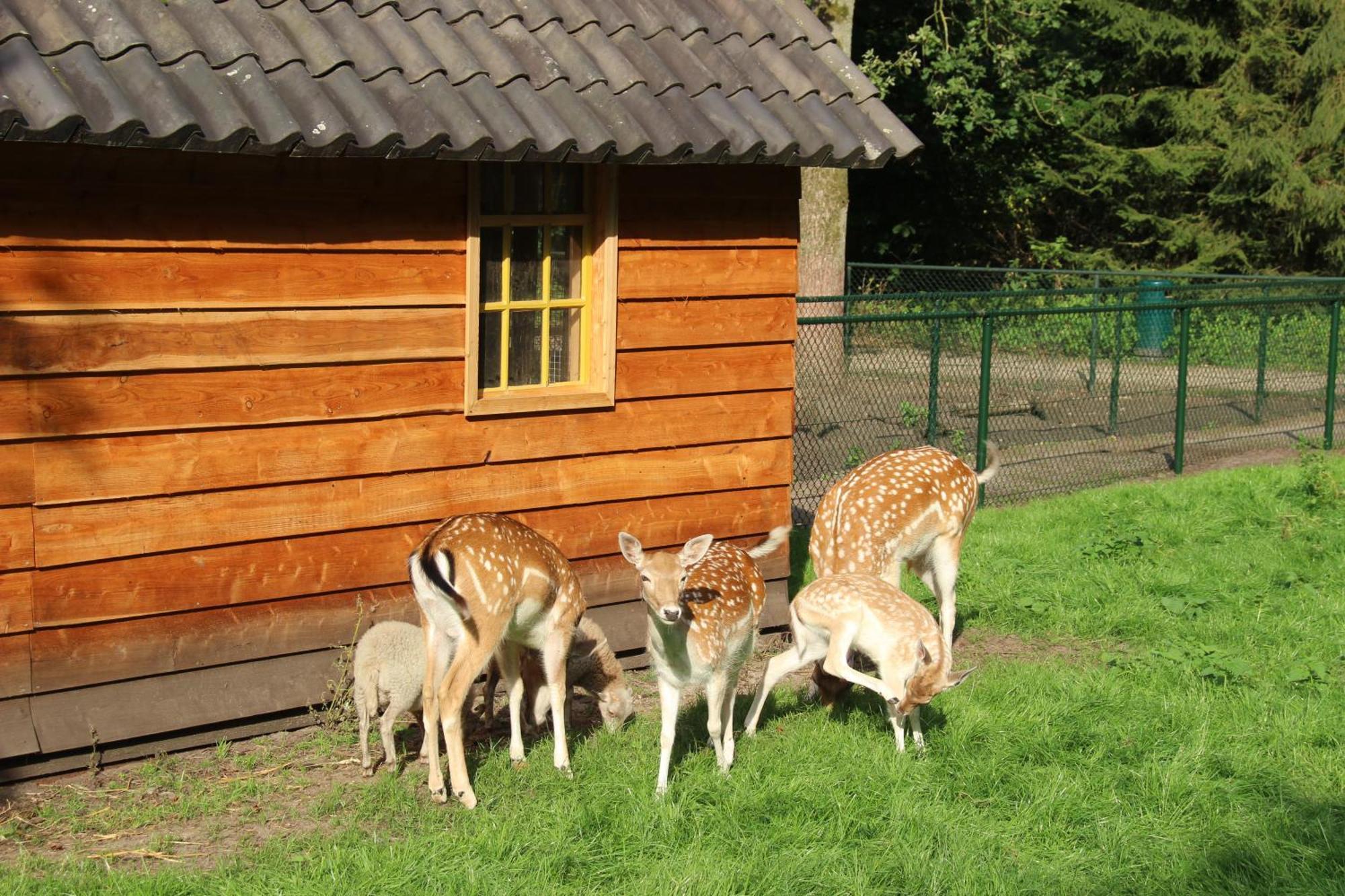 Molecaten Park De Leemkule Hattem Εξωτερικό φωτογραφία