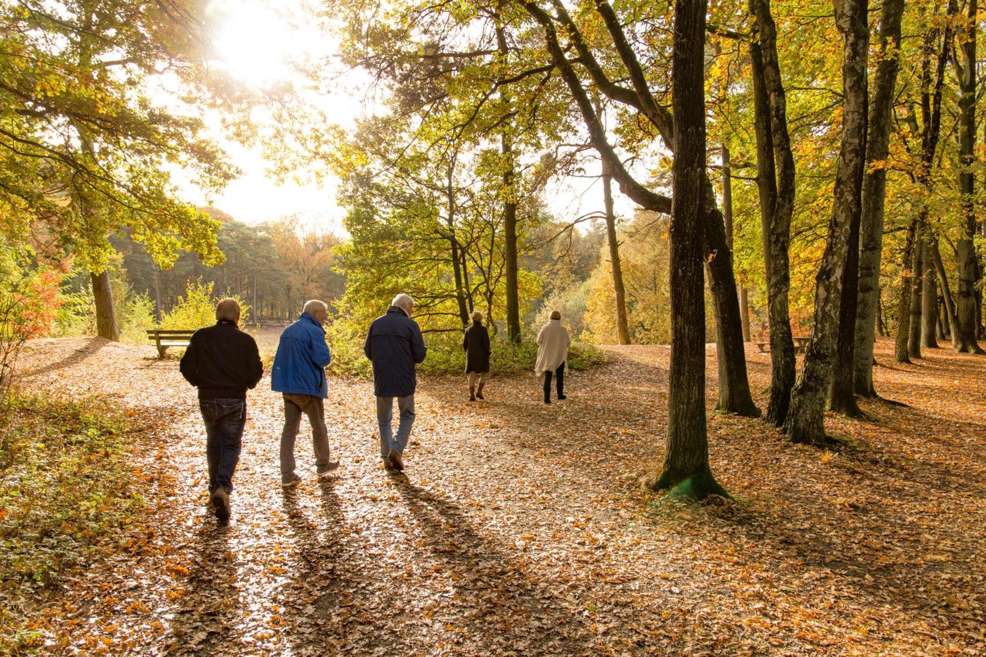 Molecaten Park De Leemkule Hattem Εξωτερικό φωτογραφία