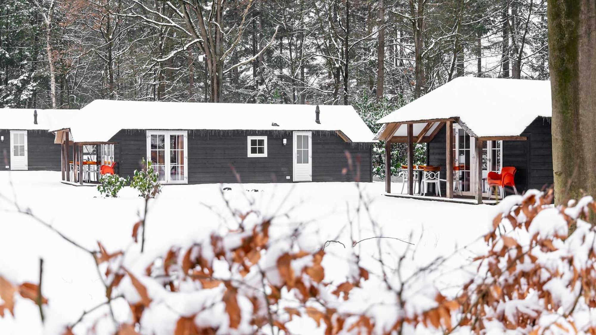 Molecaten Park De Leemkule Hattem Δωμάτιο φωτογραφία