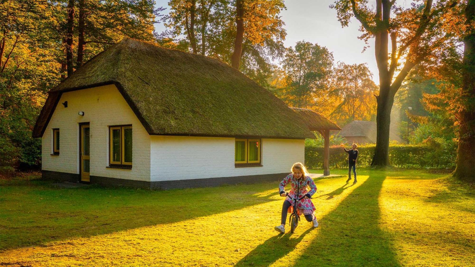 Molecaten Park De Leemkule Hattem Δωμάτιο φωτογραφία