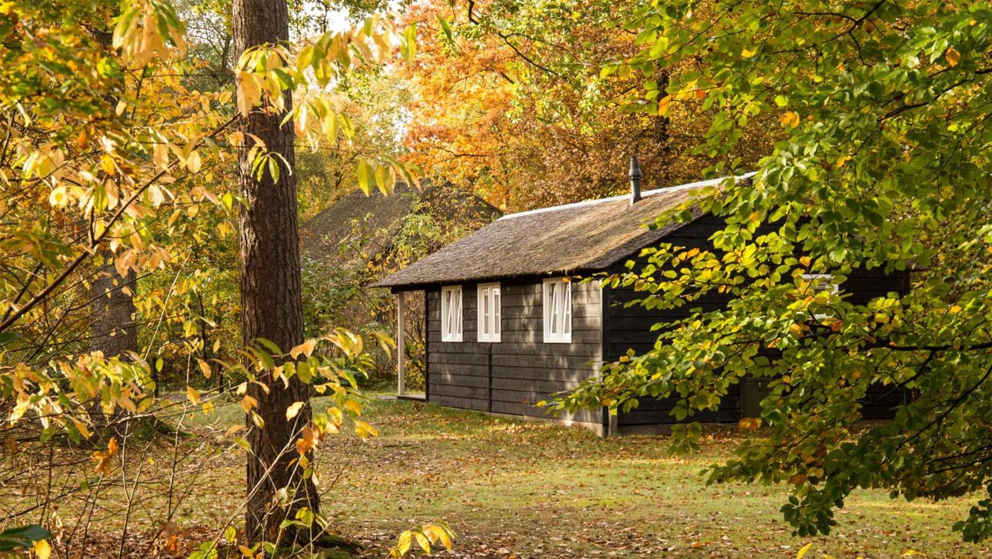 Molecaten Park De Leemkule Hattem Δωμάτιο φωτογραφία