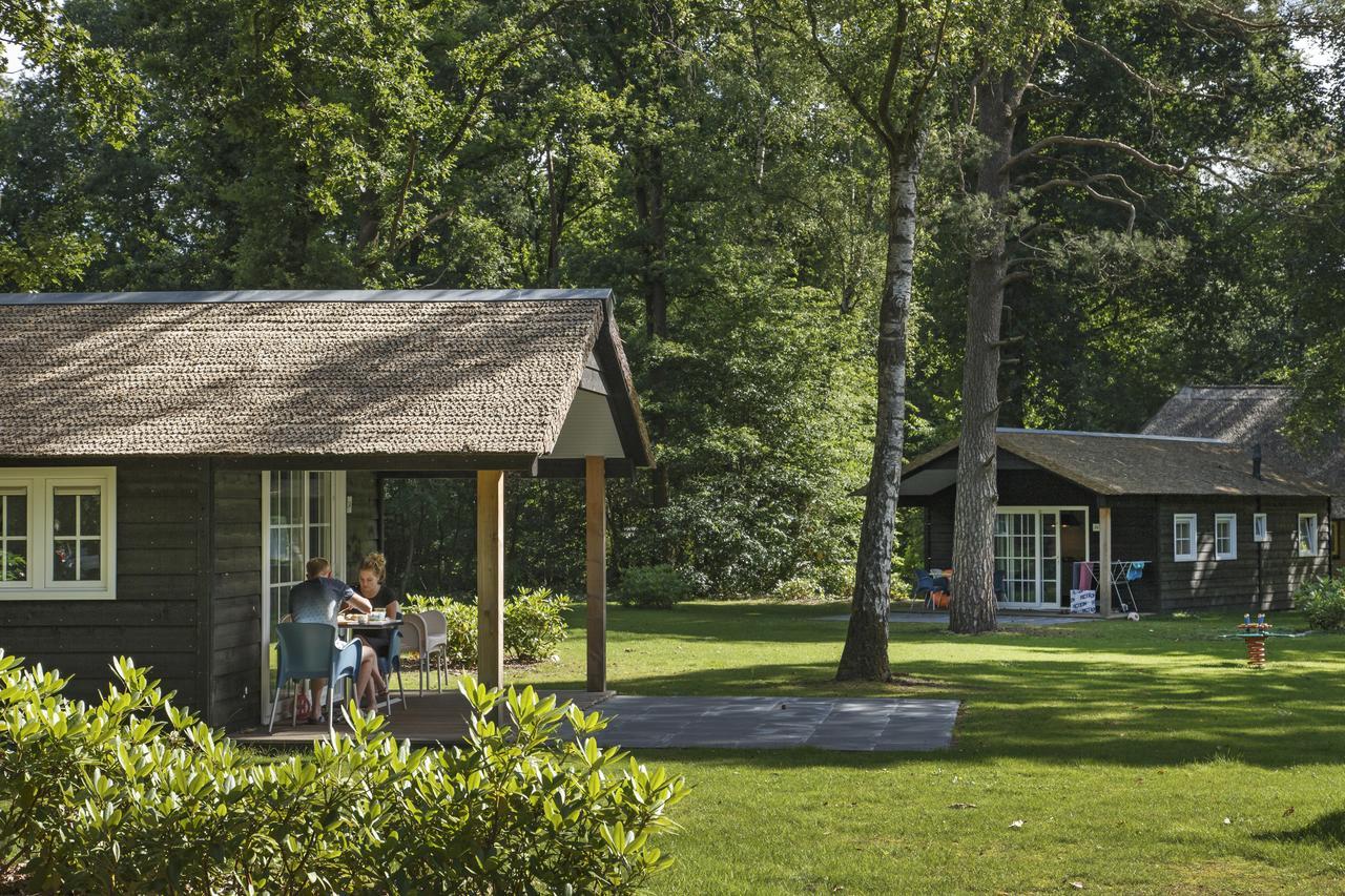 Molecaten Park De Leemkule Hattem Εξωτερικό φωτογραφία