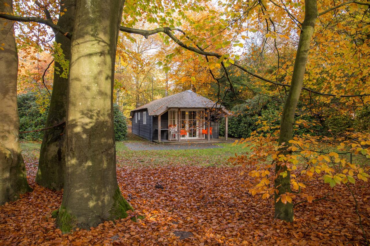 Molecaten Park De Leemkule Hattem Εξωτερικό φωτογραφία